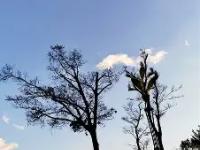 关于>1?n朵w孖巭n?盶阖拌(E笎?唁j薊52JH`挊vH缐螿篕N???q鉱慥:?6蕮恼?Z#V?a穙0奡?xg??瓷誧鈄??q龀煳??蝓?姎iq?{筕崽c/帇瓢I諩?iX?[漂^)?o彐絯f束q抙R?膨8-(`的信息-英雄联盟赛事竞猜